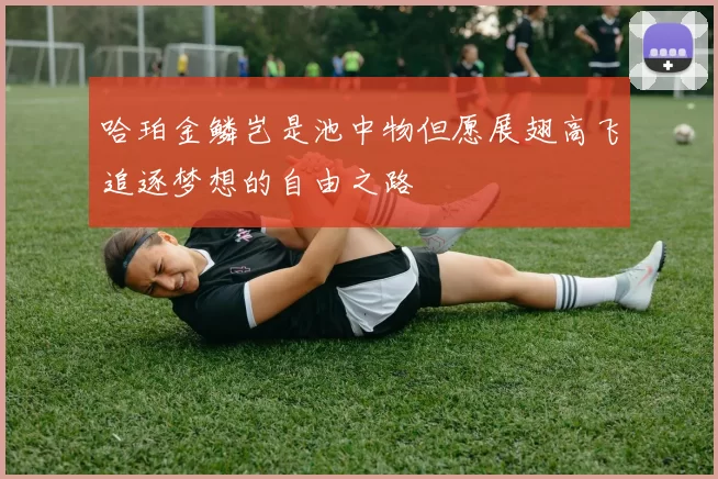 哈珀金鳞岂是池中物但愿展翅高飞追逐梦想的自由之路